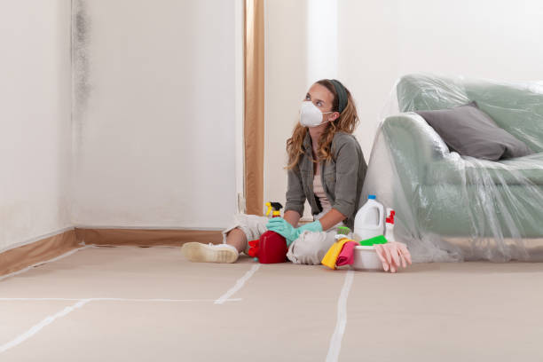 Reliable Mold Remediation contractor in Newberg, OR by Mold Remediation HQ